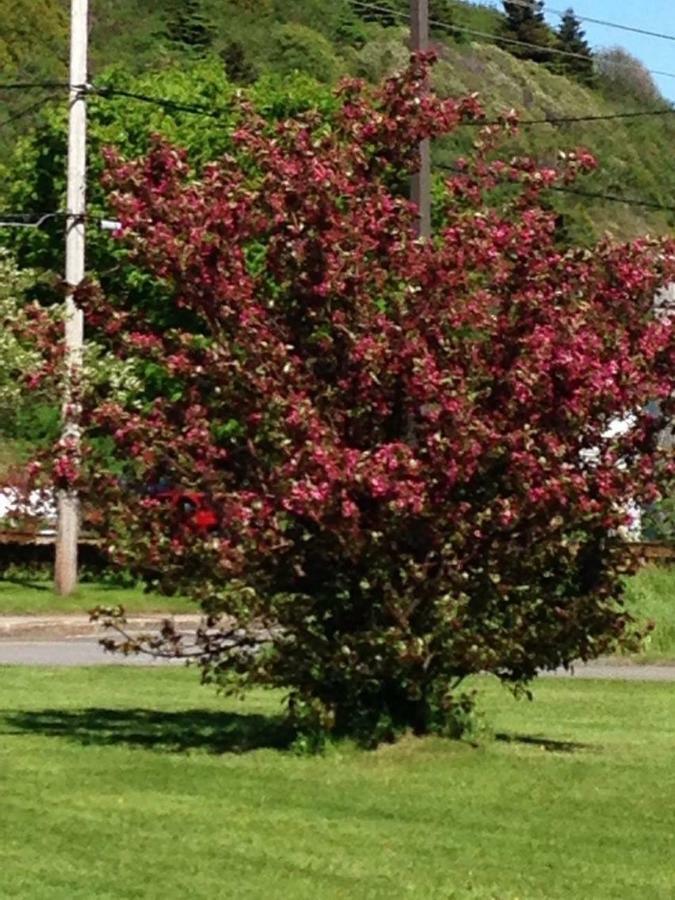Motel Le Repos ペルセ エクステリア 写真